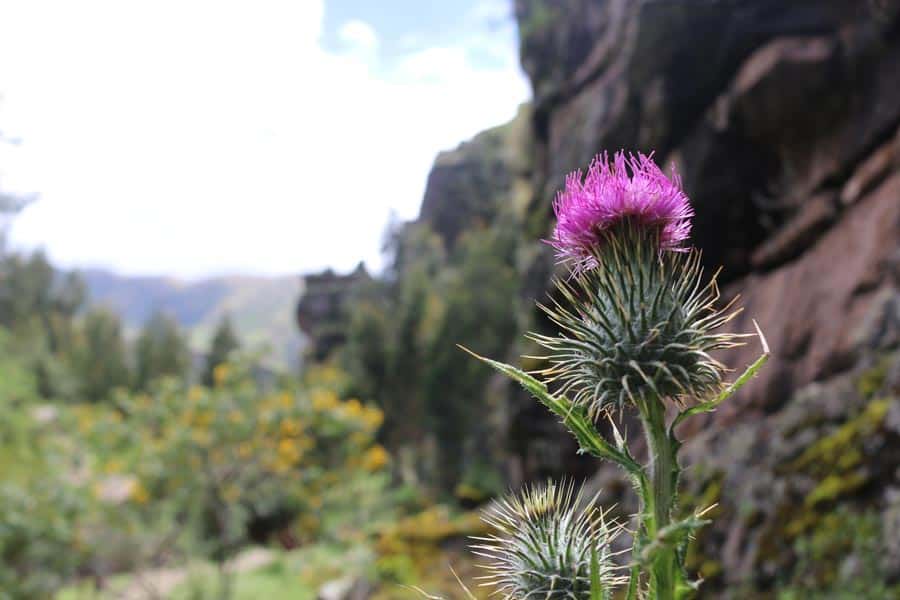 ruta y camino en los farallones de Tecsecocha en Ccorca, Cusco