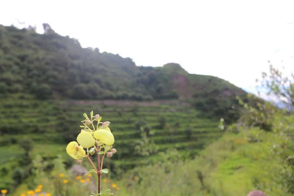 Kallachaka Cusco como llegar