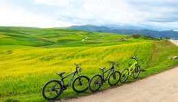 Tour en bicicleta por las Pampas de Chinchero y Laguna de Huaypo