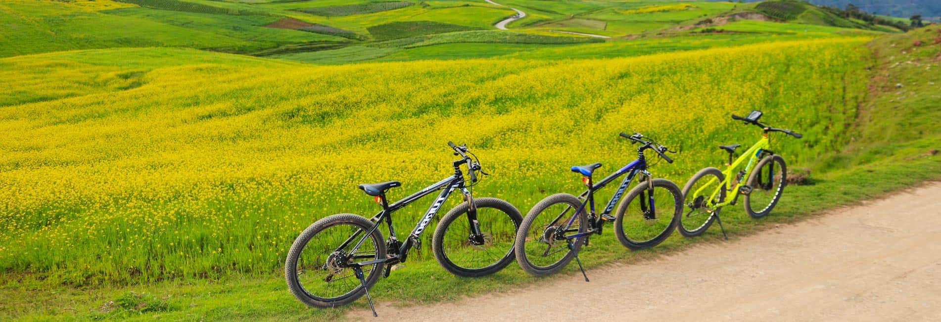 Tour en bicicleta por las Pampas de Chinchero y Laguna de Huaypo