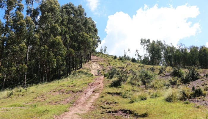 MTB: Yuncaypata + Pumamarka desde Cusco