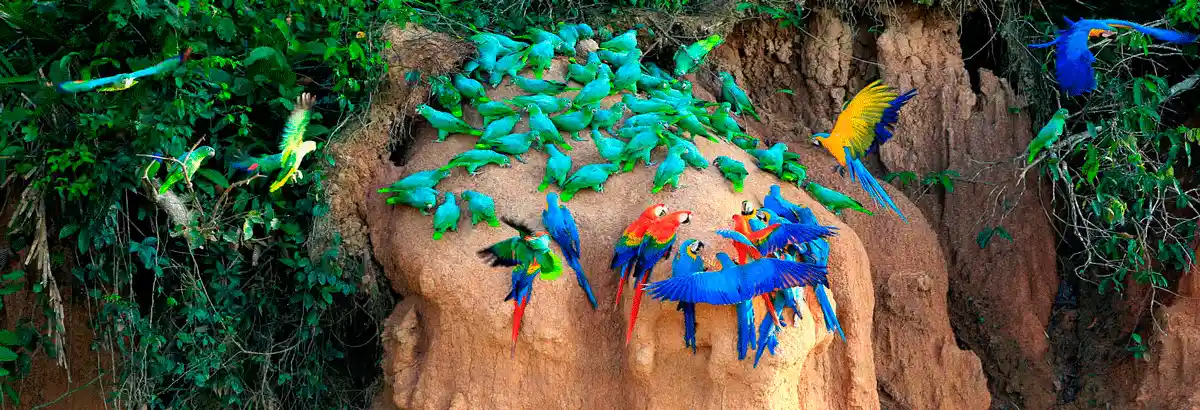 Tours en Puerto Maldonado, Madre de Dios