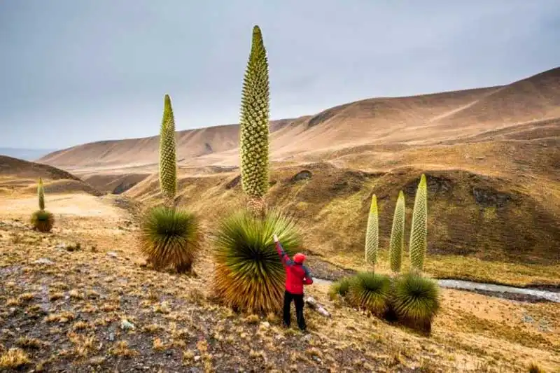 Excursión a la ruta Quechua